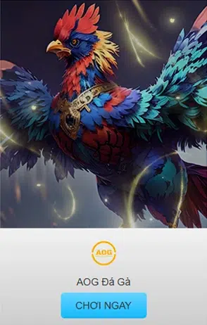 Đá Gà KUWIN - Theo Dõi Live Cược Ngay Không Gián Đoạn 2026 8 Đá gà AOG giải đấu đỉnh cao