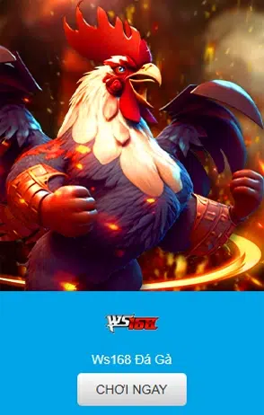 Đá Gà KUWIN - Theo Dõi Live Cược Ngay Không Gián Đoạn 2026 7 Đá gà WS168