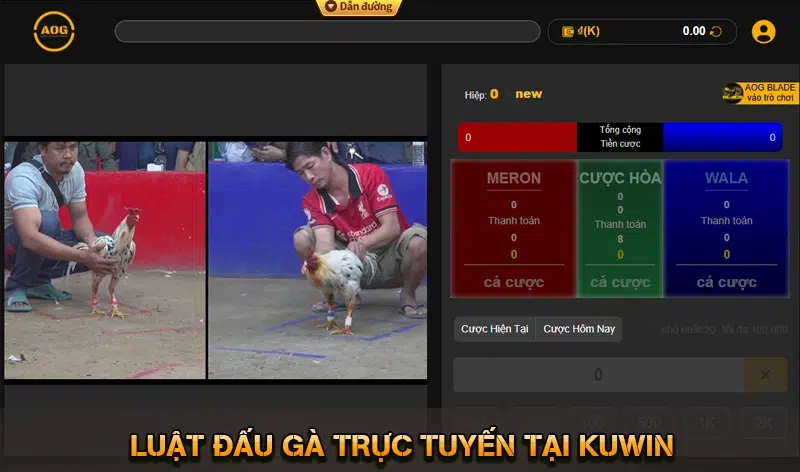 Đá Gà KUWIN - Theo Dõi Live Cược Ngay Không Gián Đoạn 2026 9 Luật Đấu Gà Trực Tuyến Tại KUWIN